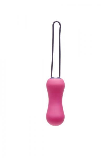 Ami Plus Progressive Pelvic Weights Fuchsia