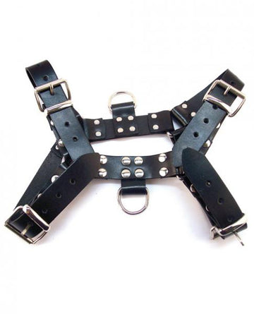 Rouge Over The Head X-Large Harness