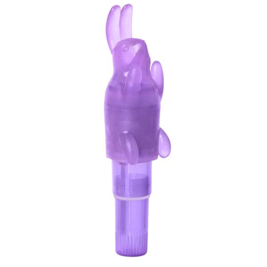 Shanes World Pocket Party Purple Massager