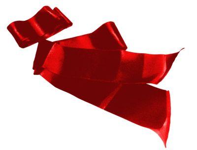 Silky Sash Restraints Red